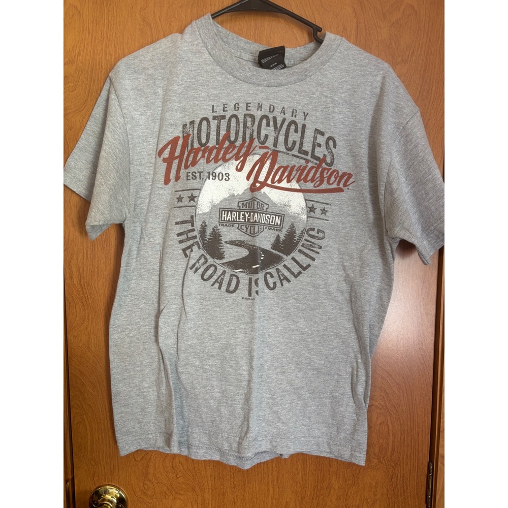 Harley-Davidson Caliente San Antonio Texas Graphic T-Shirt Gray Mens Medium
